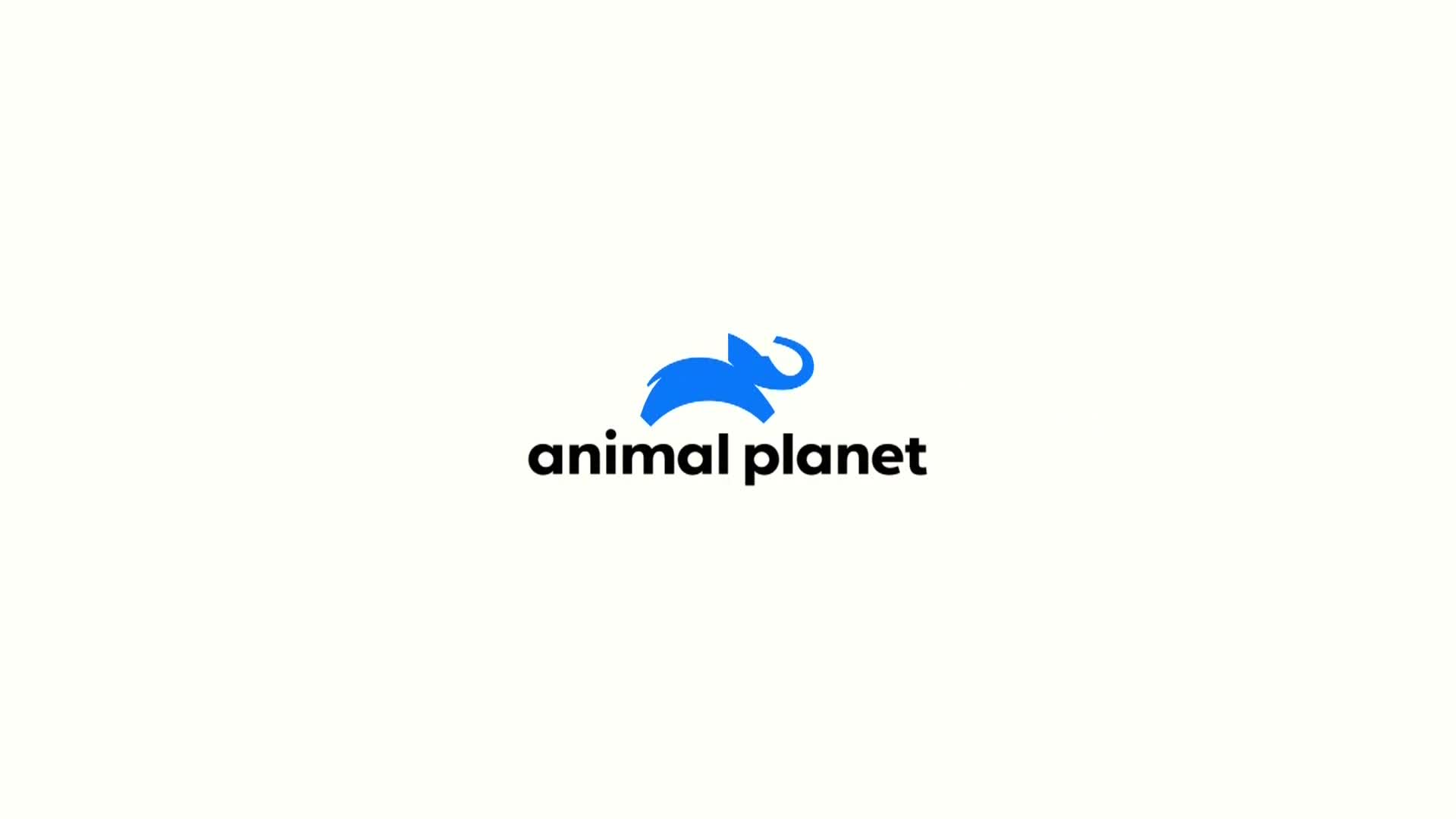 AnimalPlanet