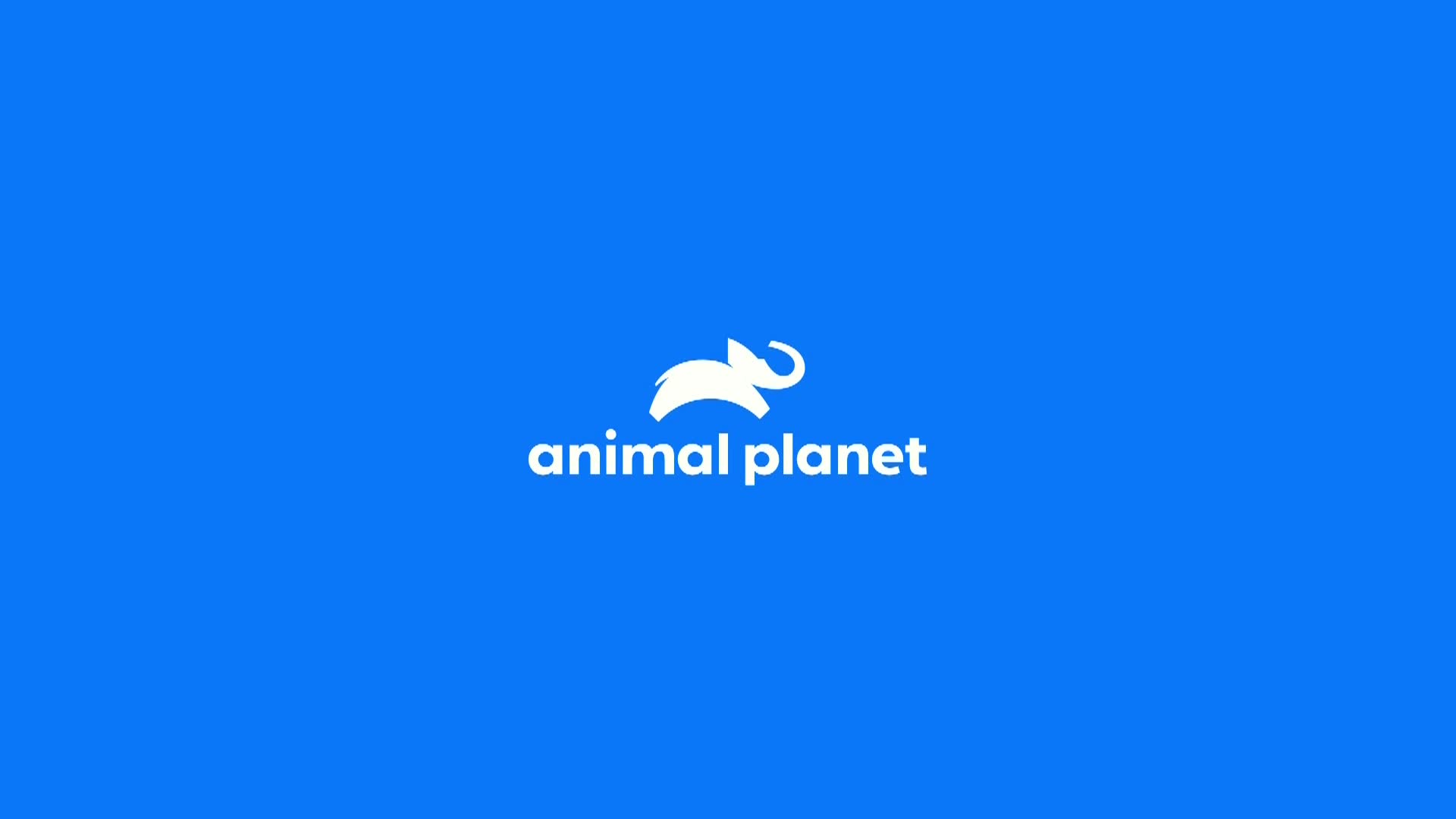 AnimalPlanet