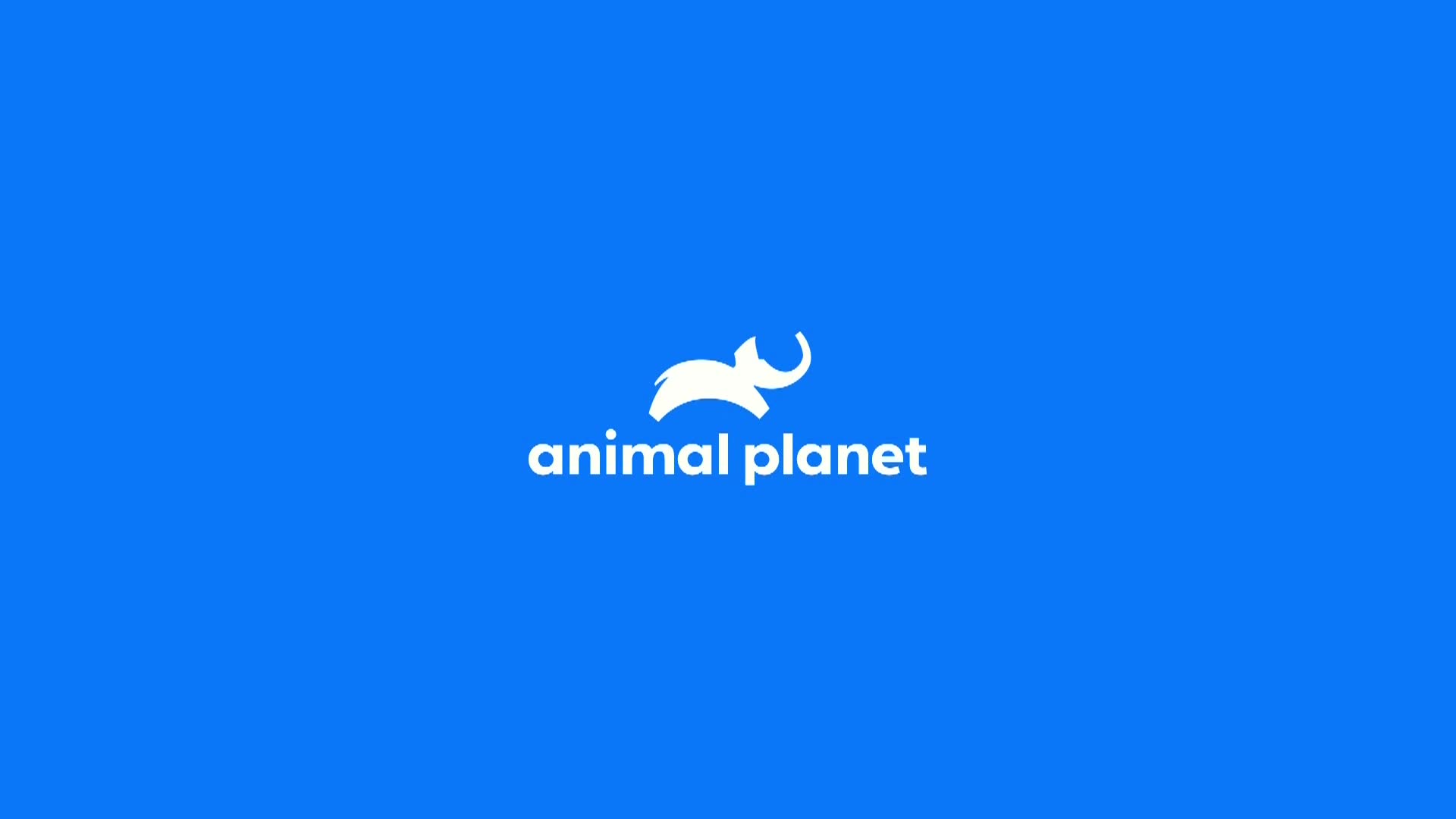 AnimalPlanet