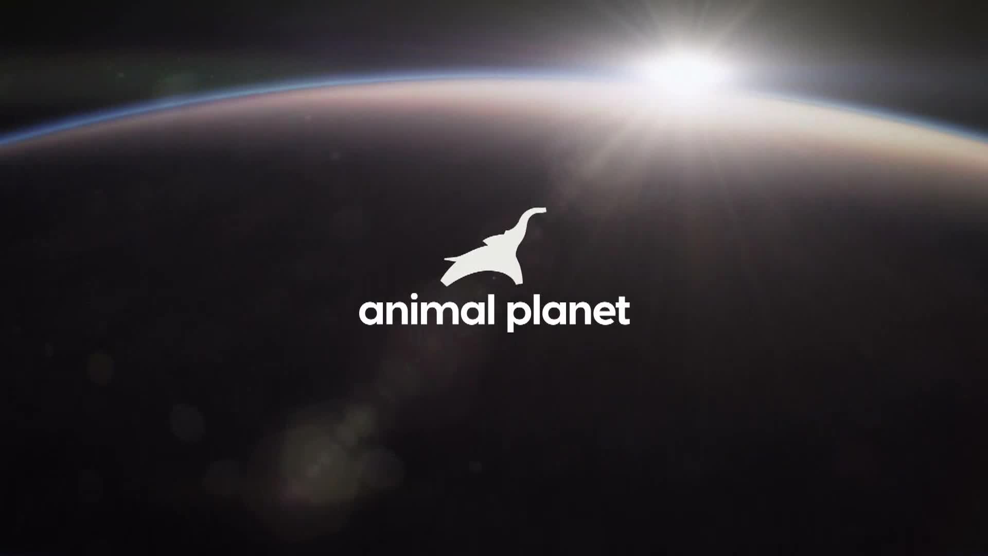 AnimalPlanet