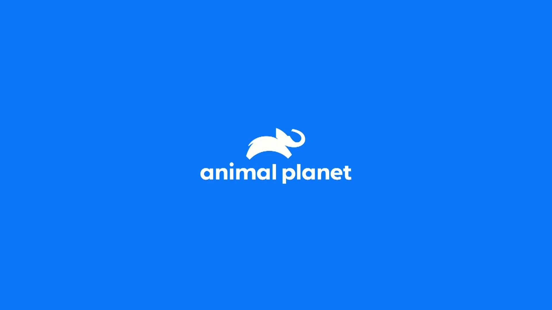 AnimalPlanet
