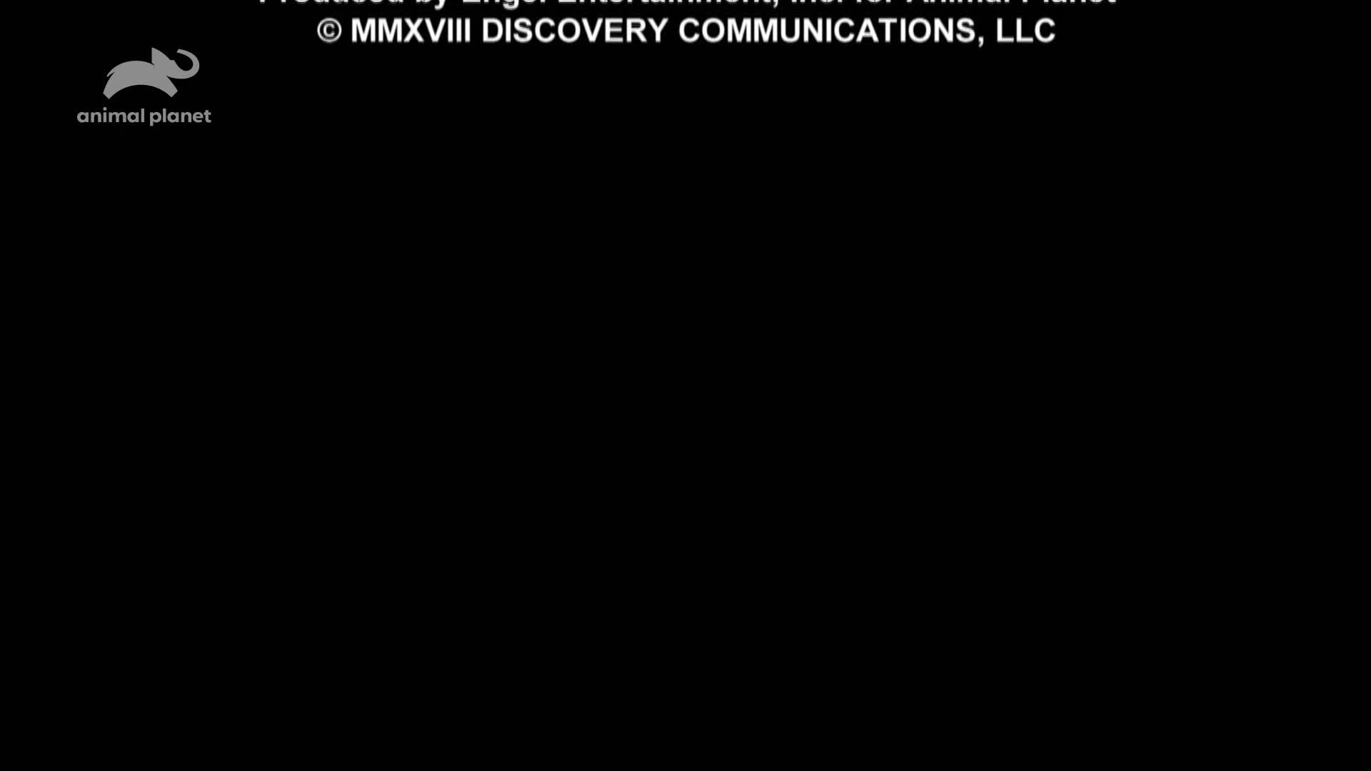 AnimalPlanet