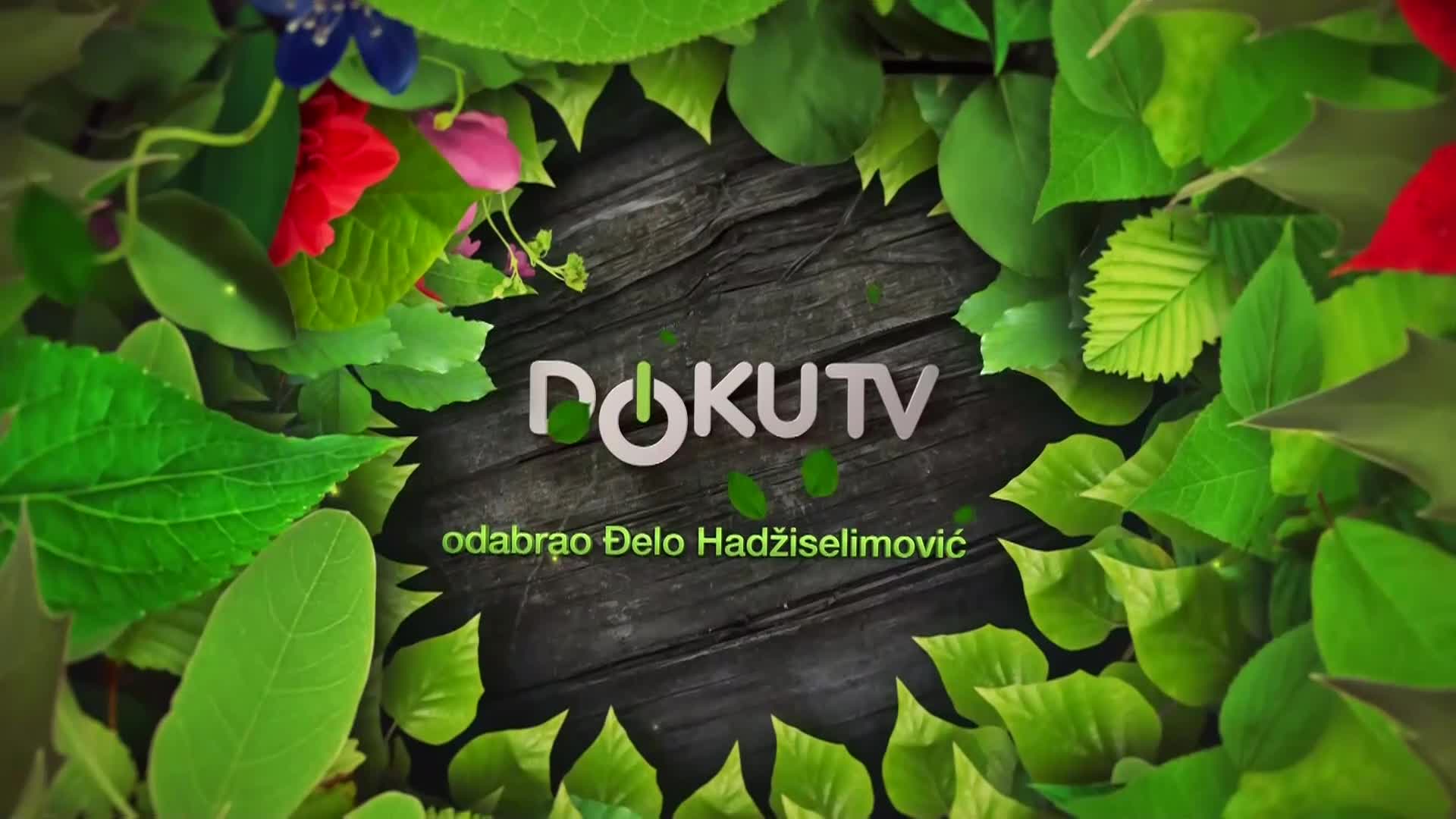 DokuTV