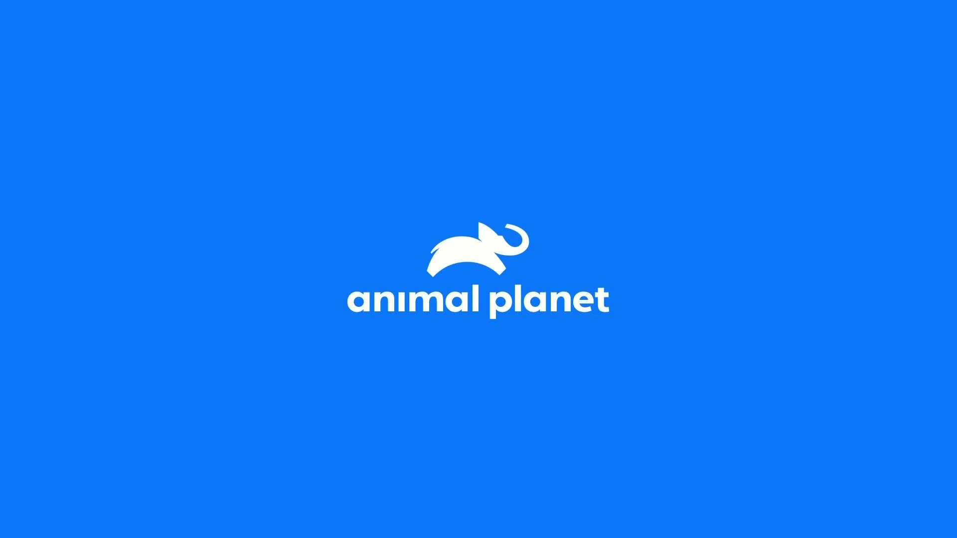 AnimalPlanet