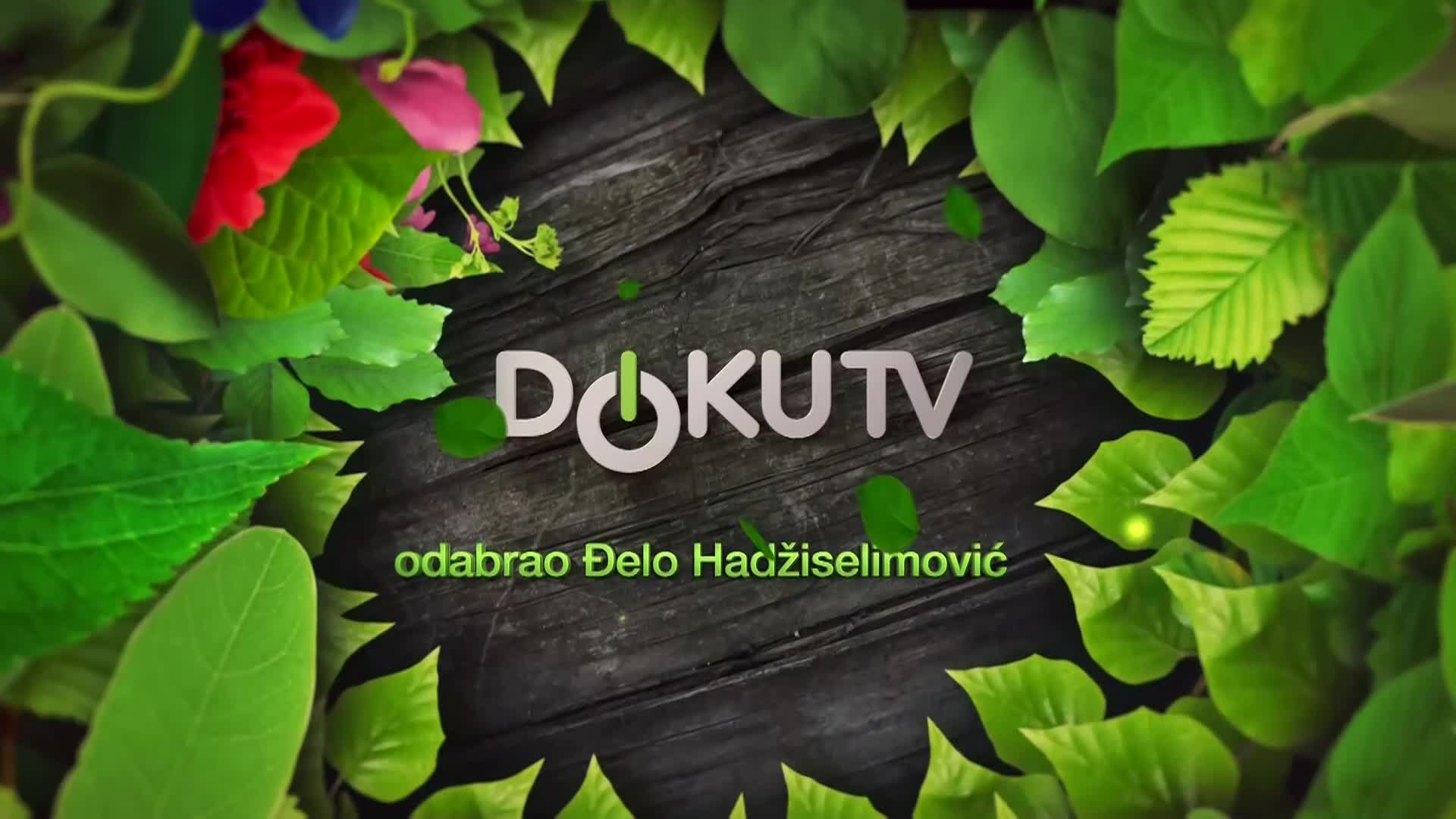 DokuTV