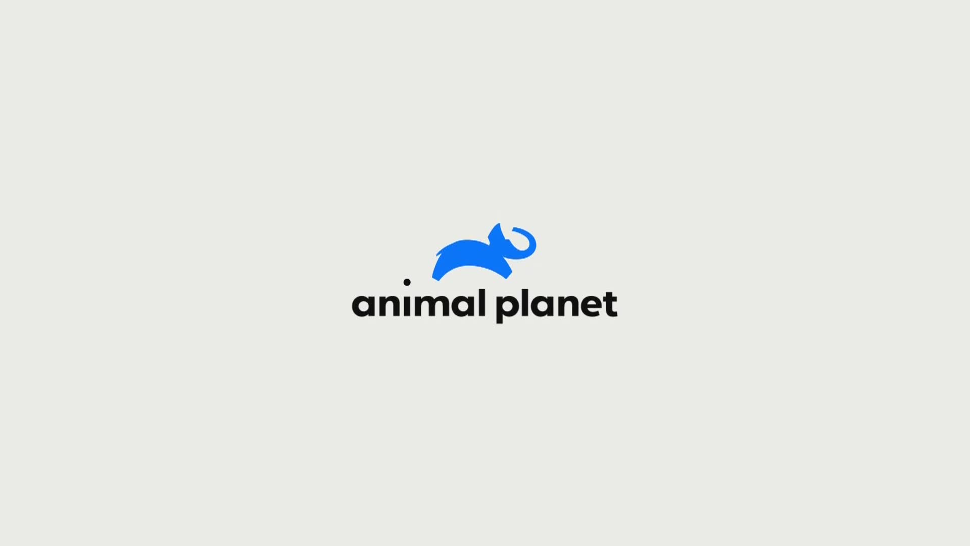 AnimalPlanet