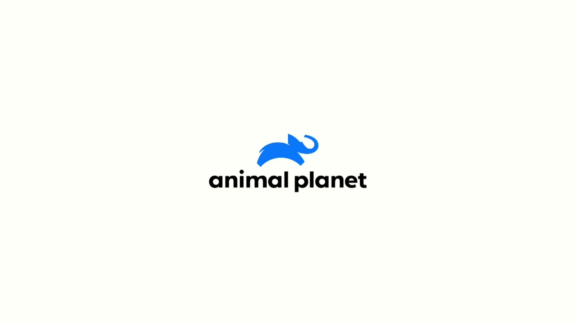 AnimalPlanet