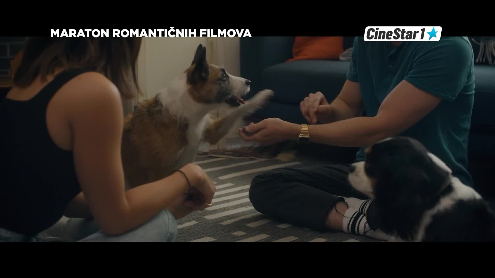 CinestarTV