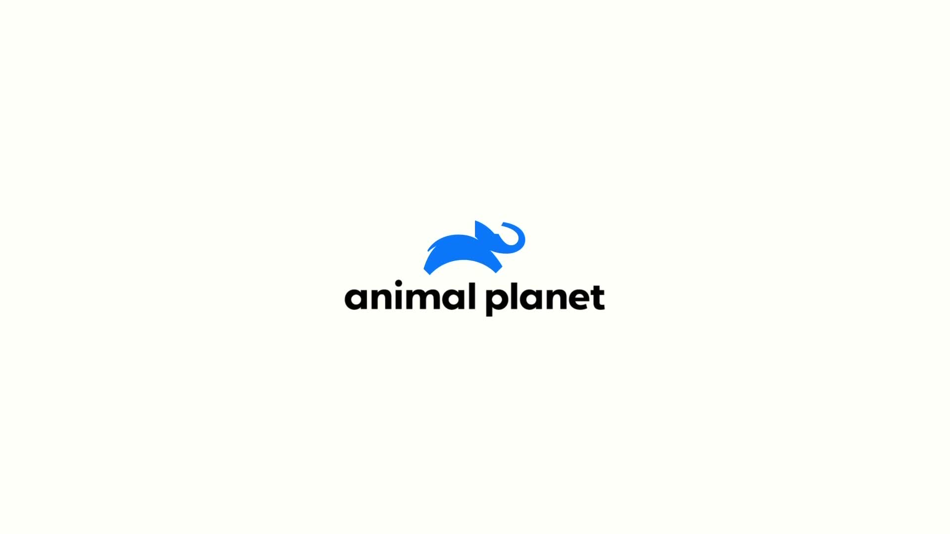 AnimalPlanet