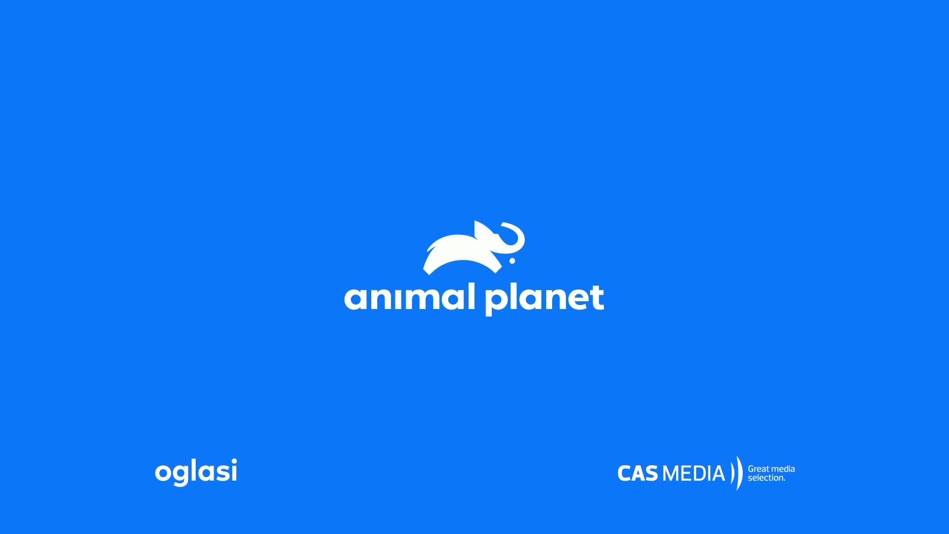 AnimalPlanet