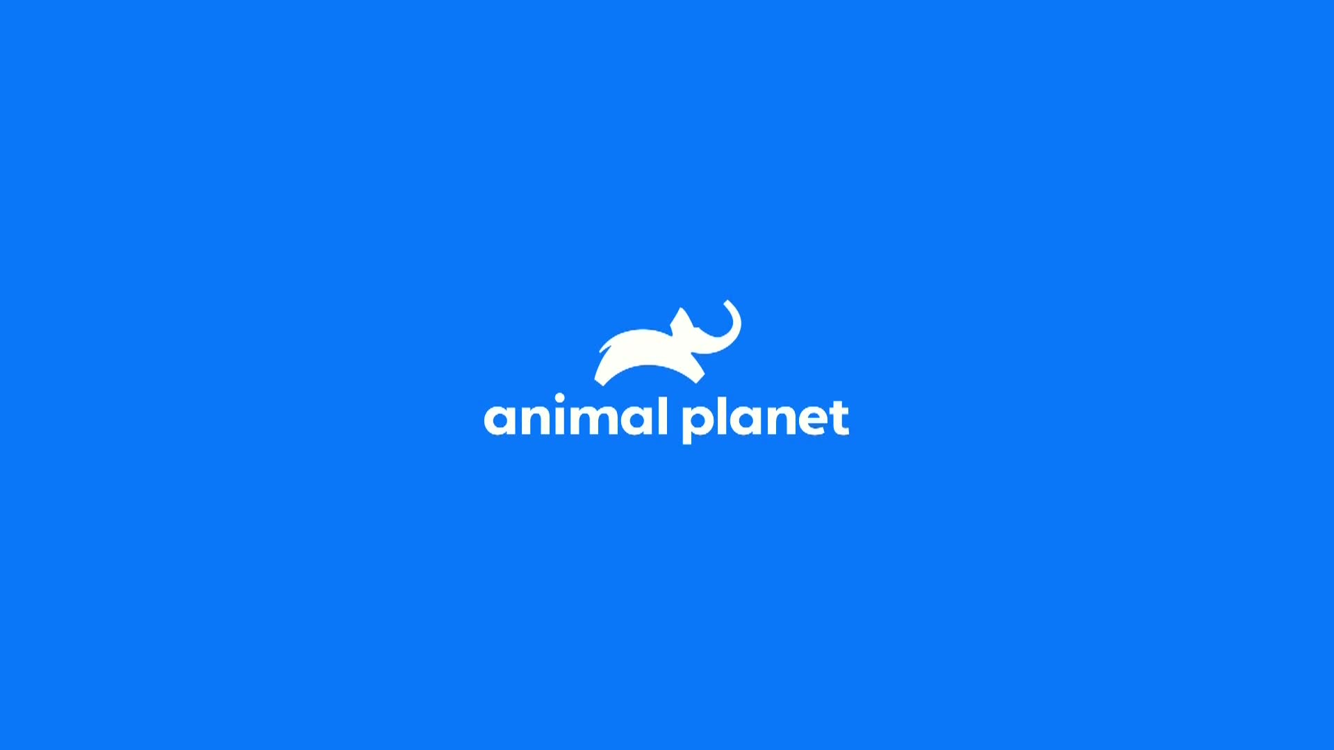 AnimalPlanet