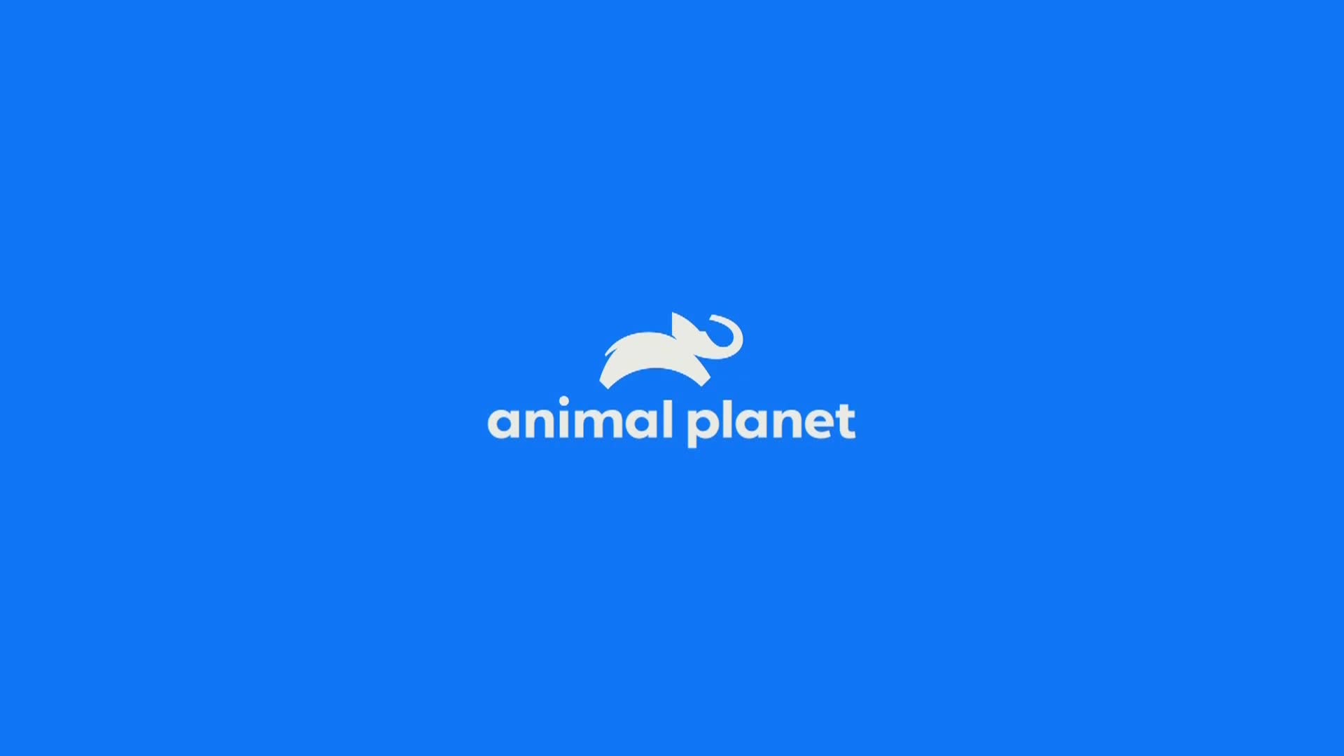 AnimalPlanet