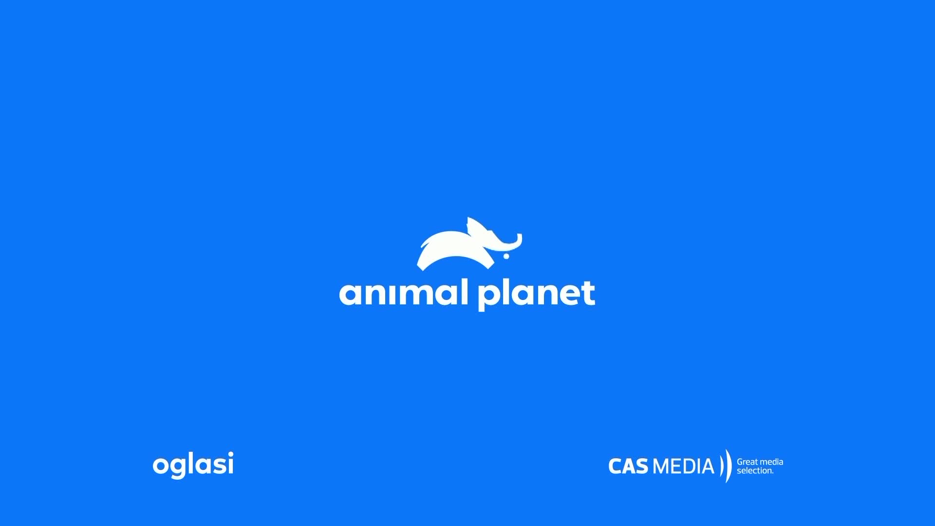 AnimalPlanet