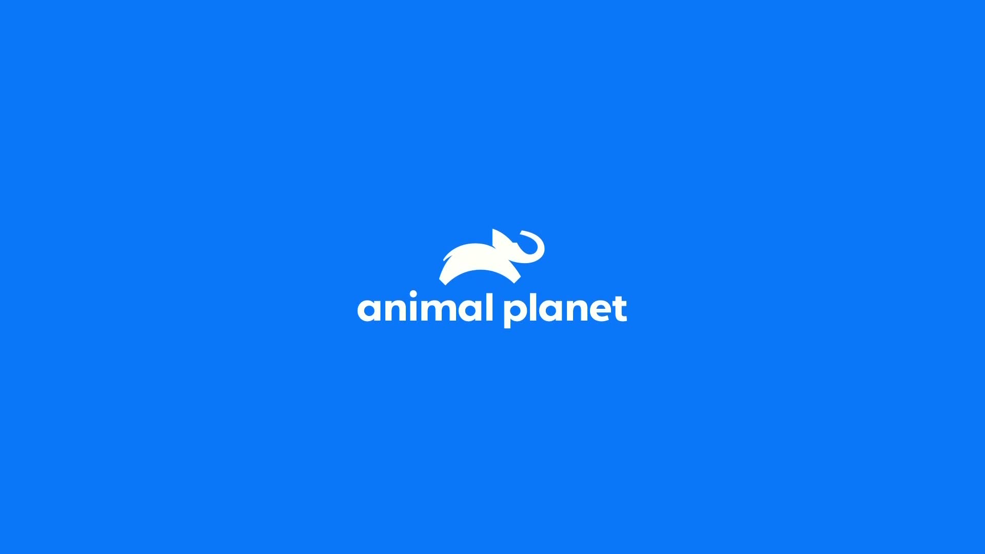 AnimalPlanet