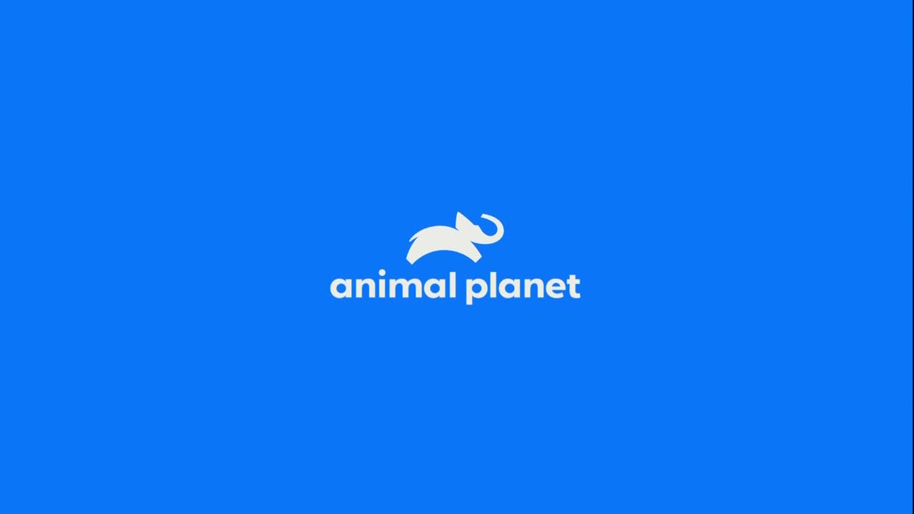 AnimalPlanet