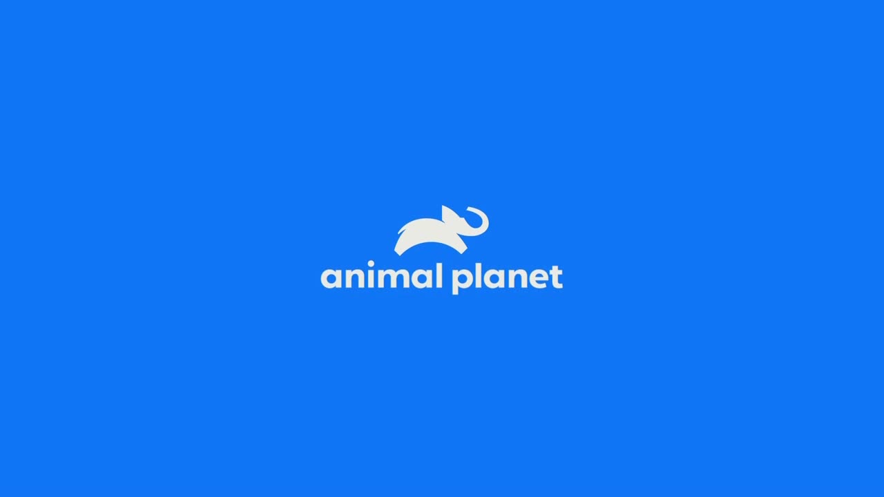 AnimalPlanet