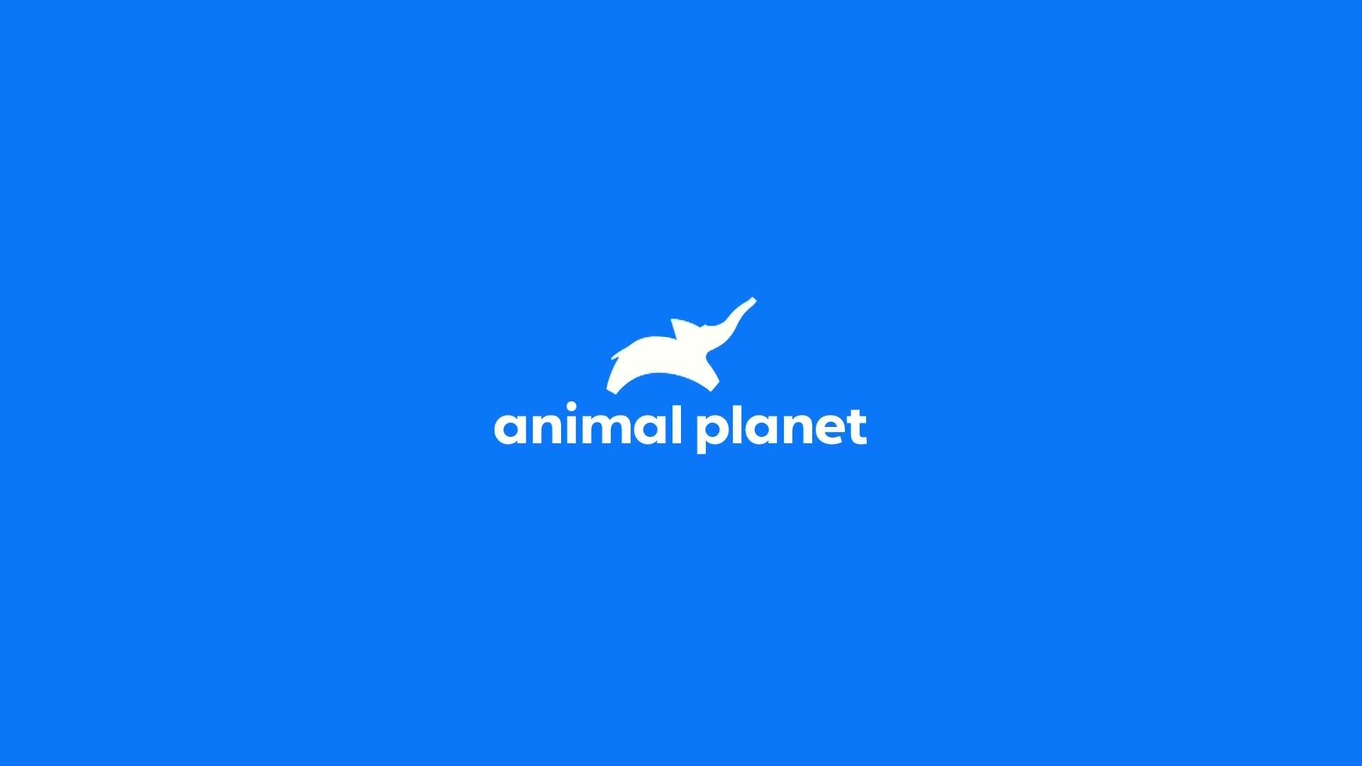 AnimalPlanet