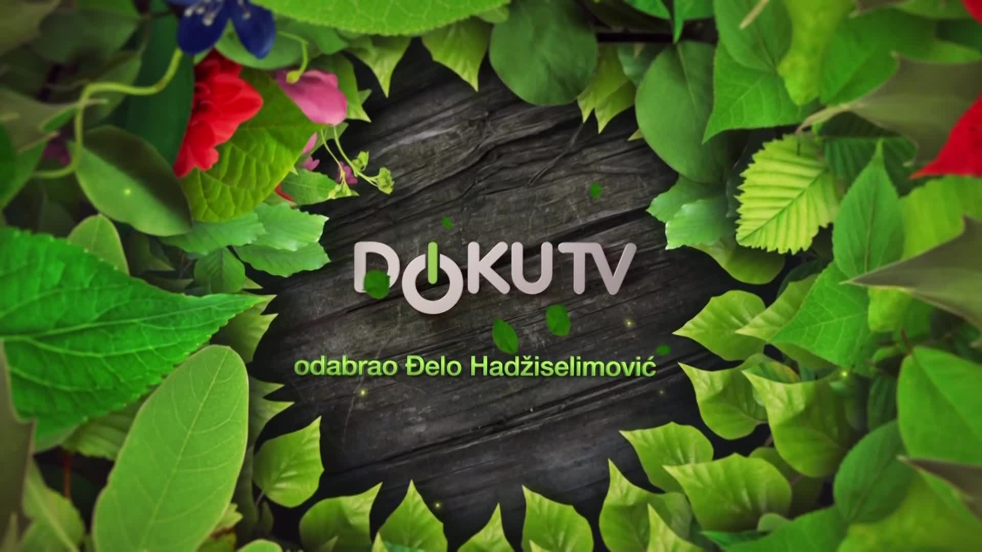 DokuTV