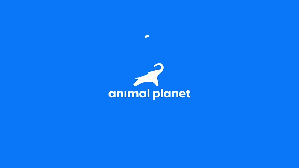 AnimalPlanet