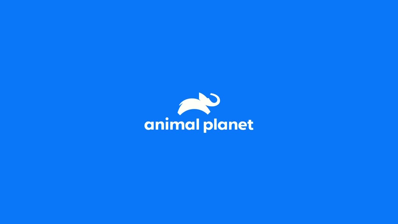 AnimalPlanet