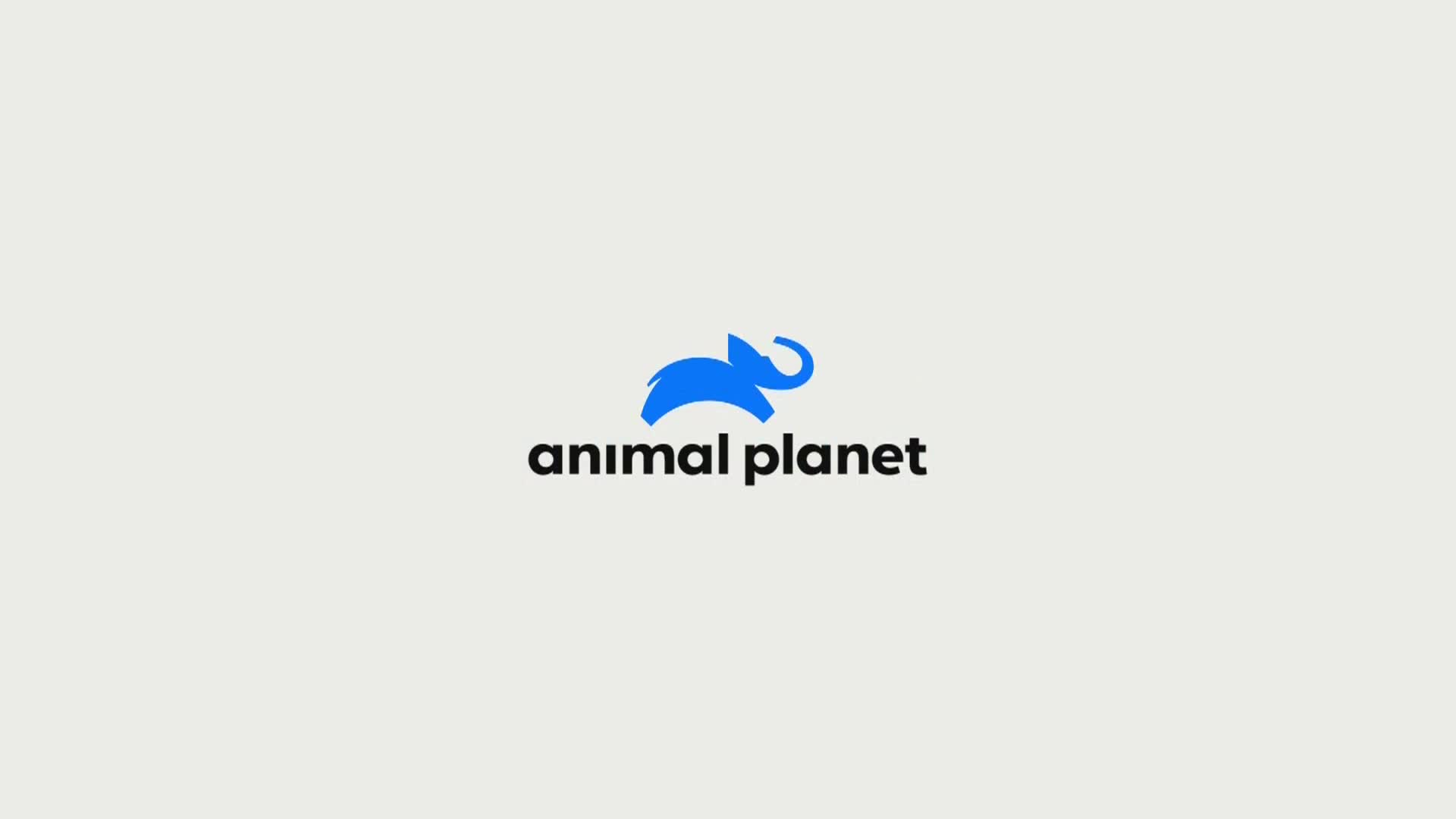 AnimalPlanet