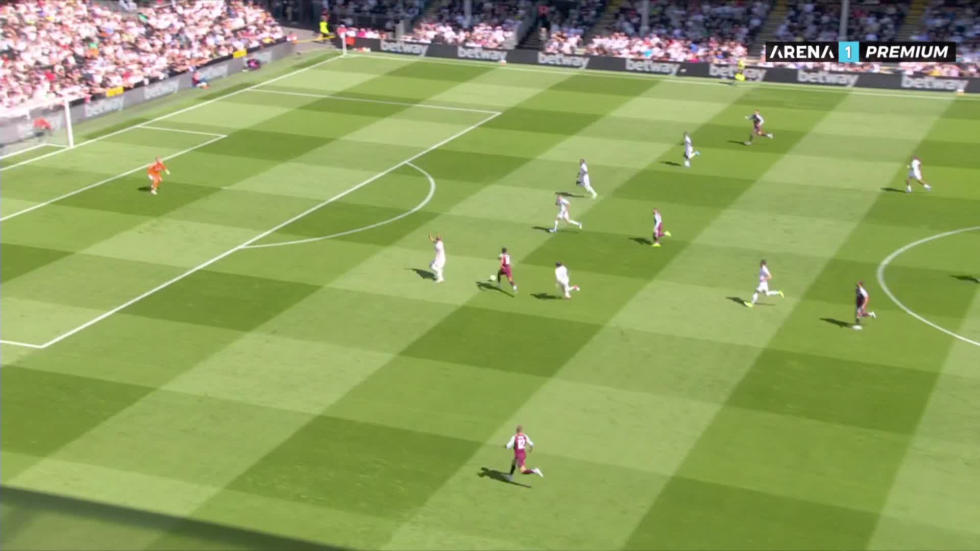 ArenaPremium1