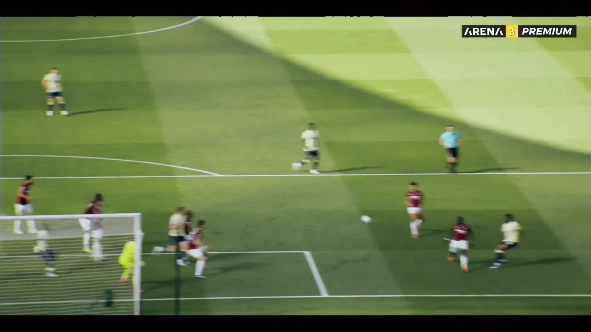 ArenaPremium3