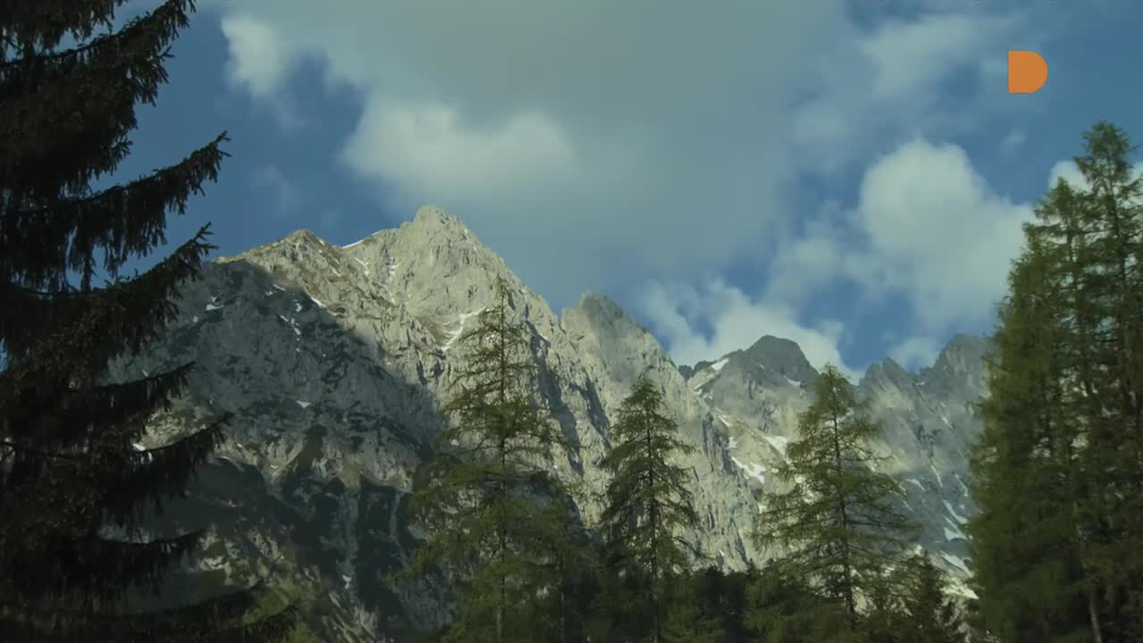 DomaTV