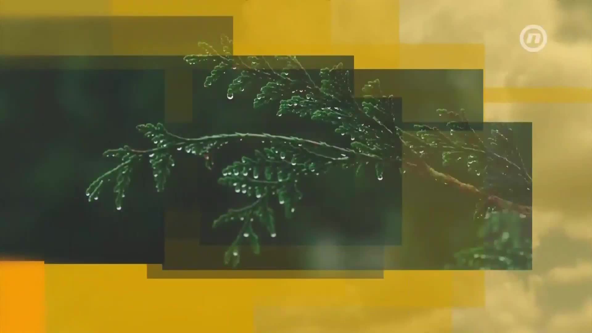 NovaTVbh