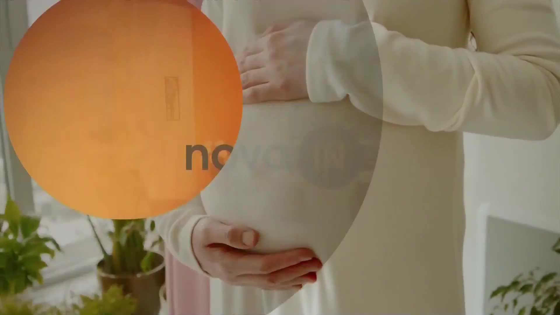NovaTVbh