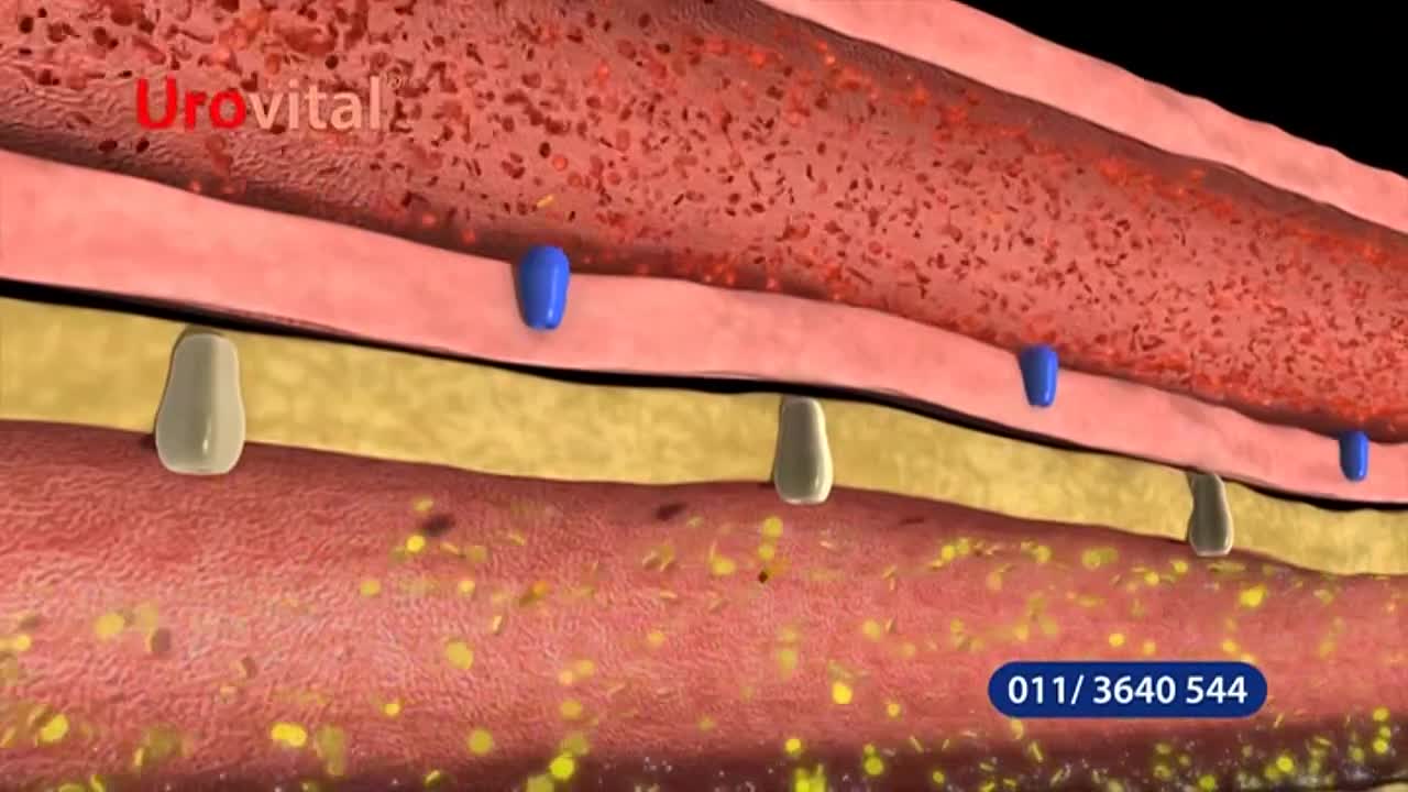 obn