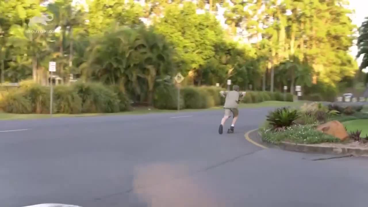 AnimalPlanet