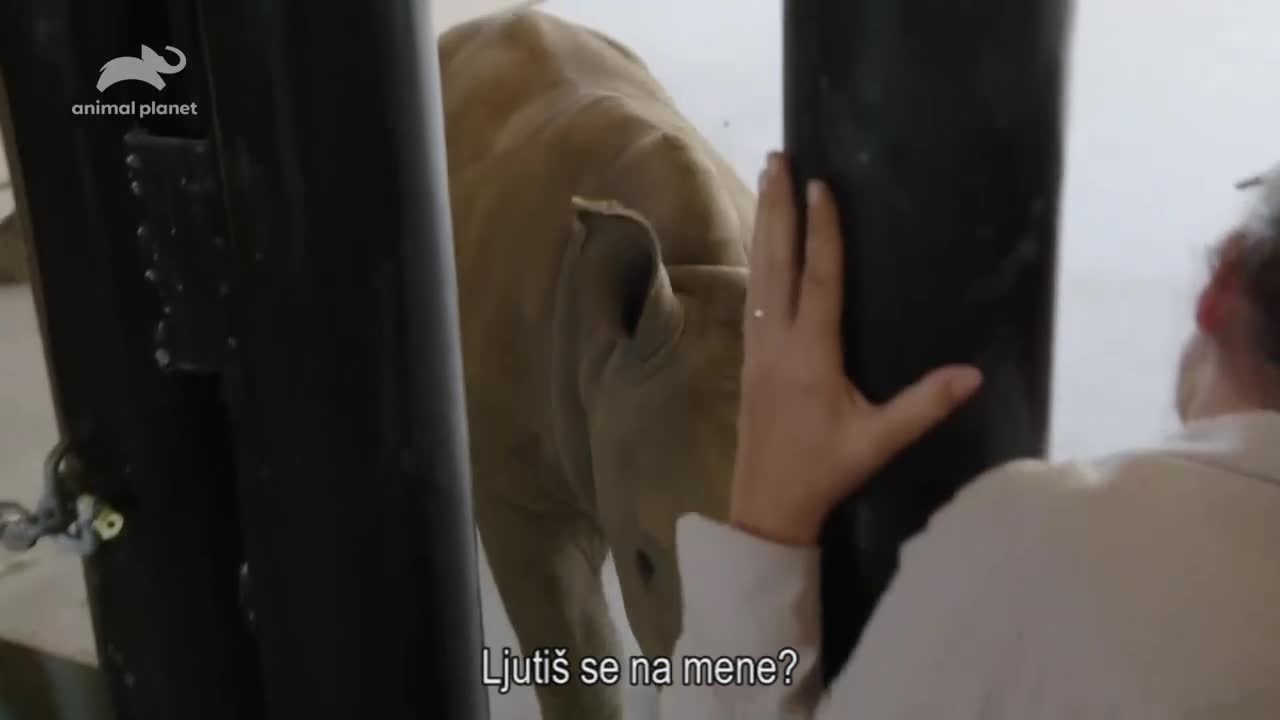 AnimalPlanet