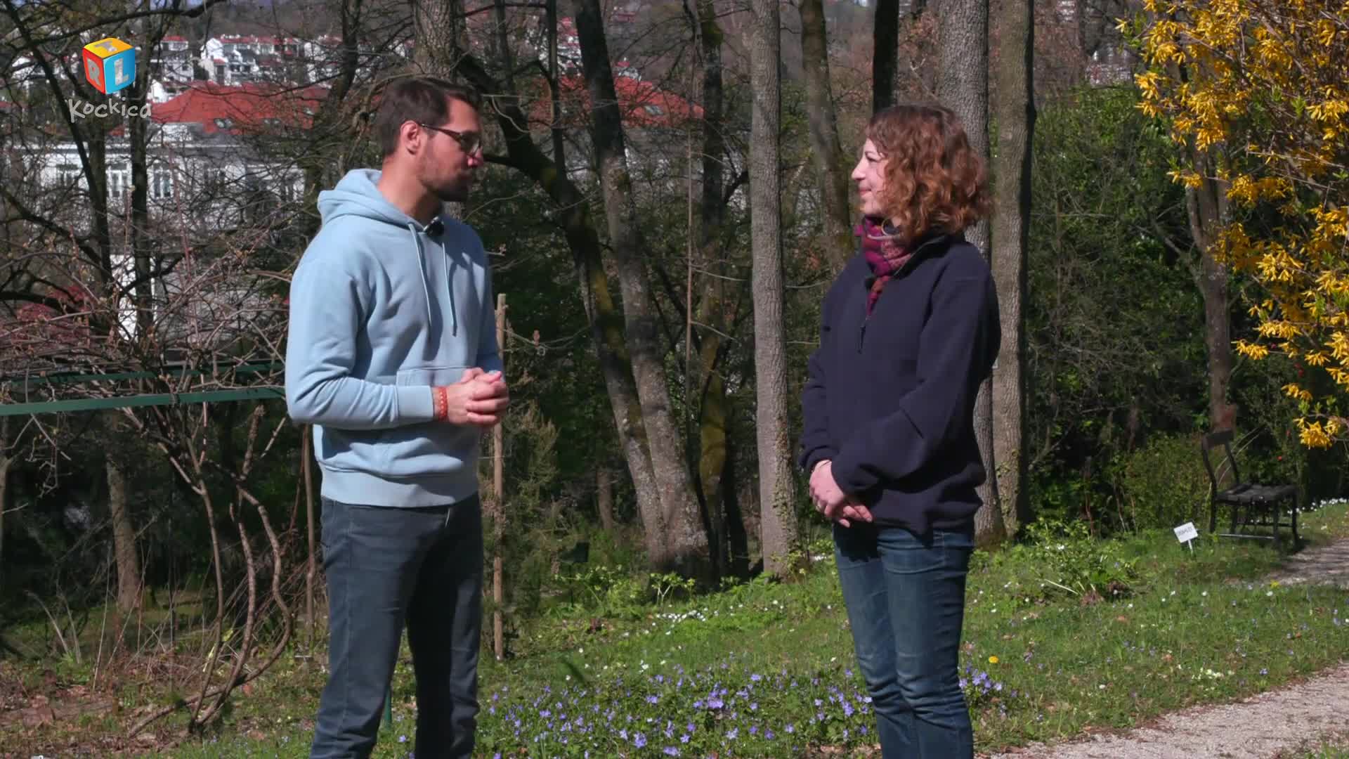 RTLKockica