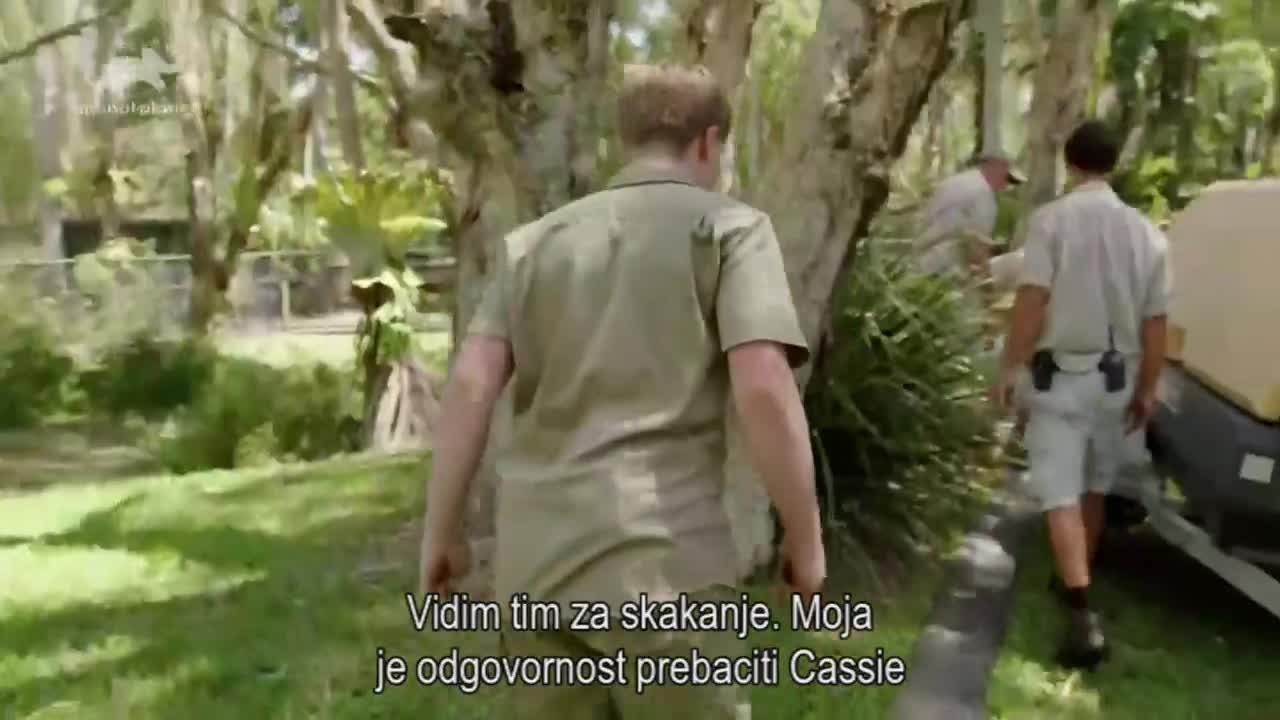 AnimalPlanet