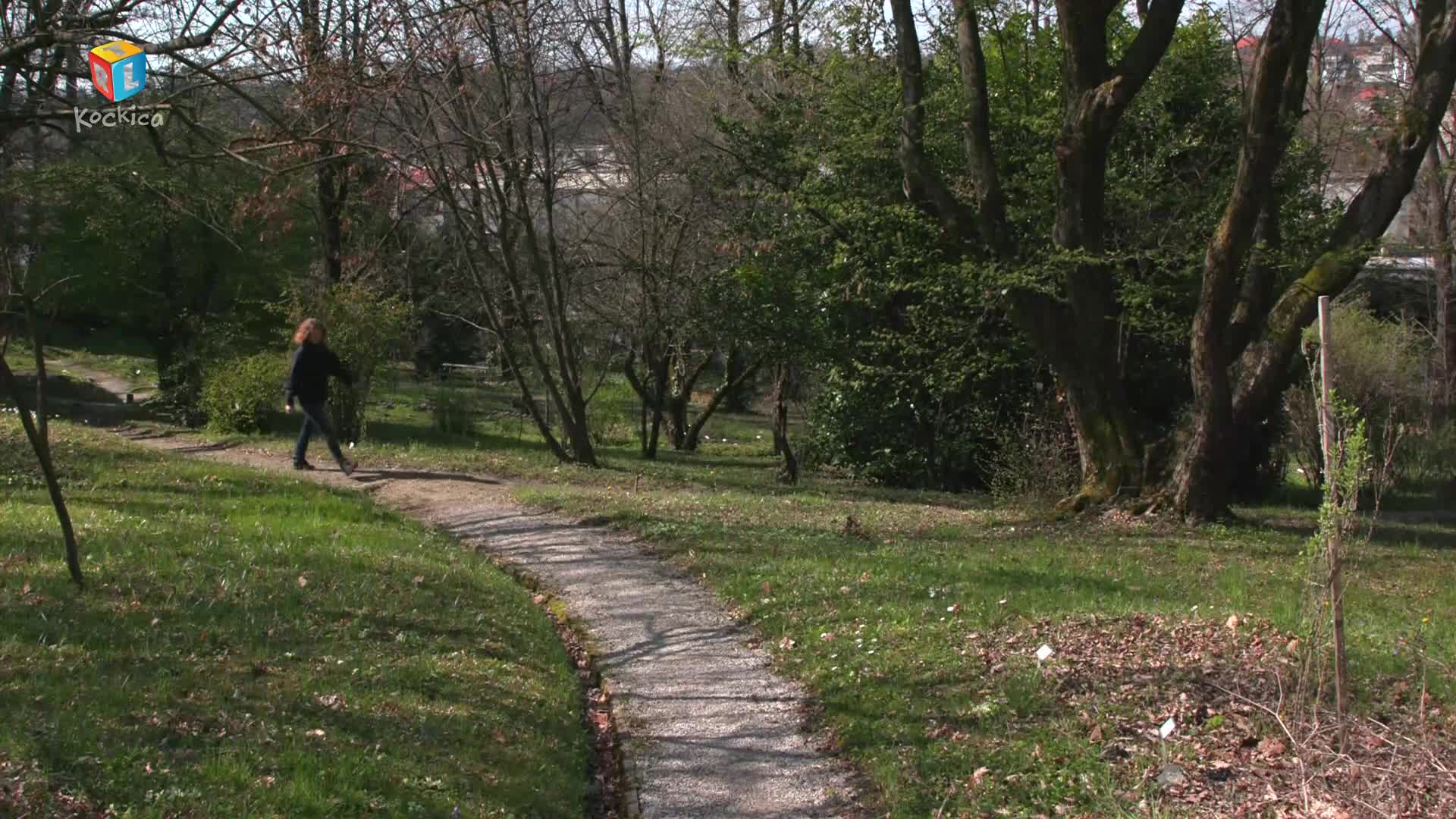 RTLKockica