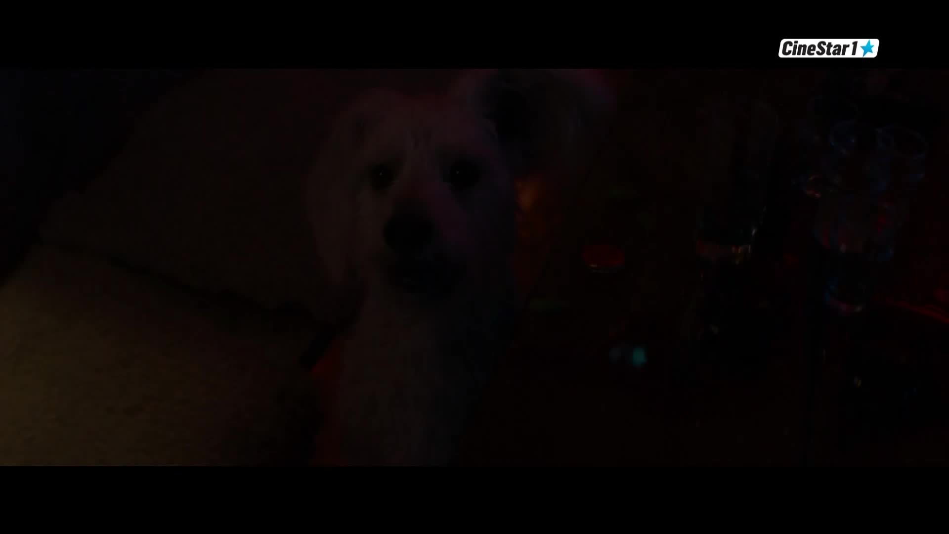 CinestarTV