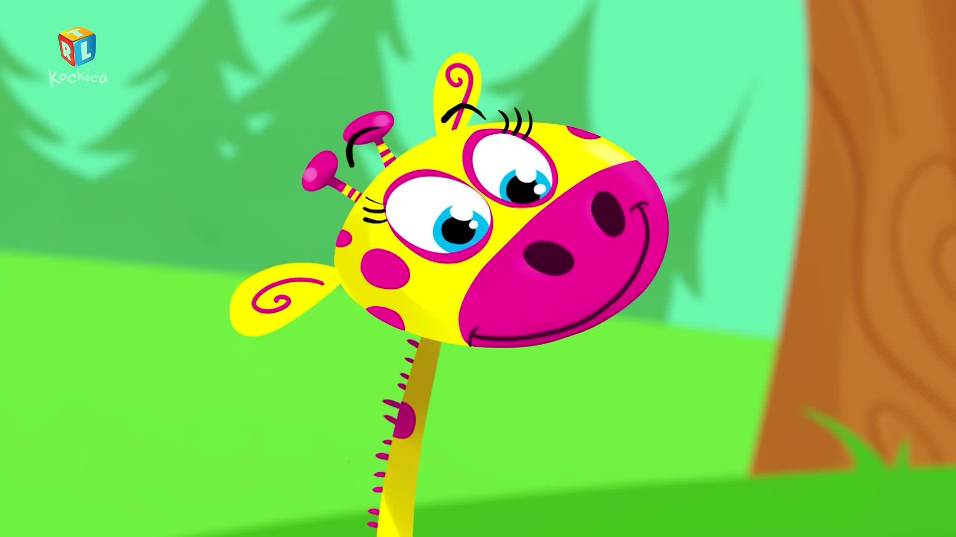 RTLKockica