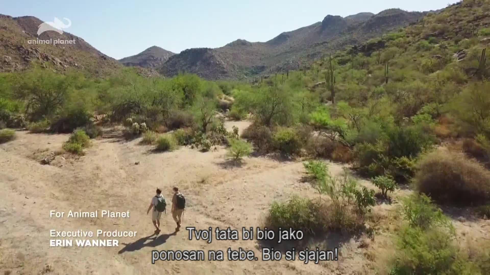AnimalPlanet