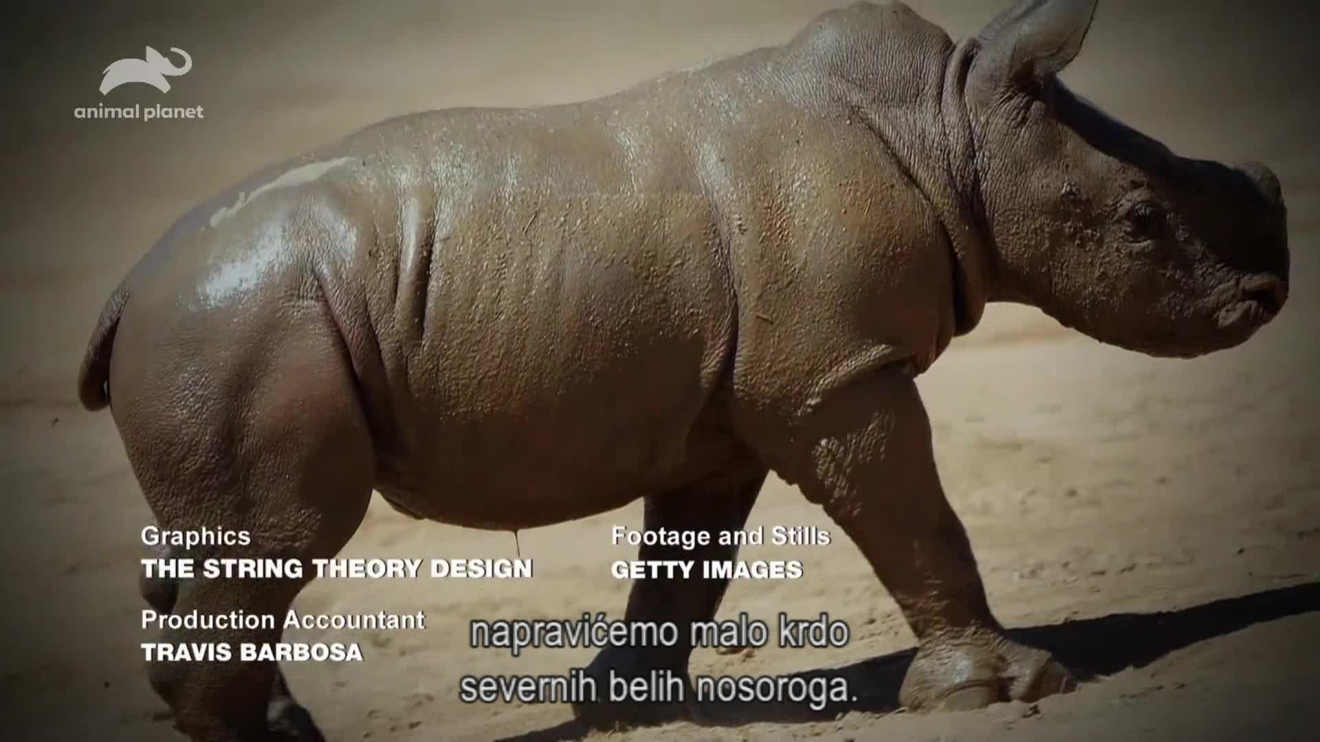 AnimalPlanet