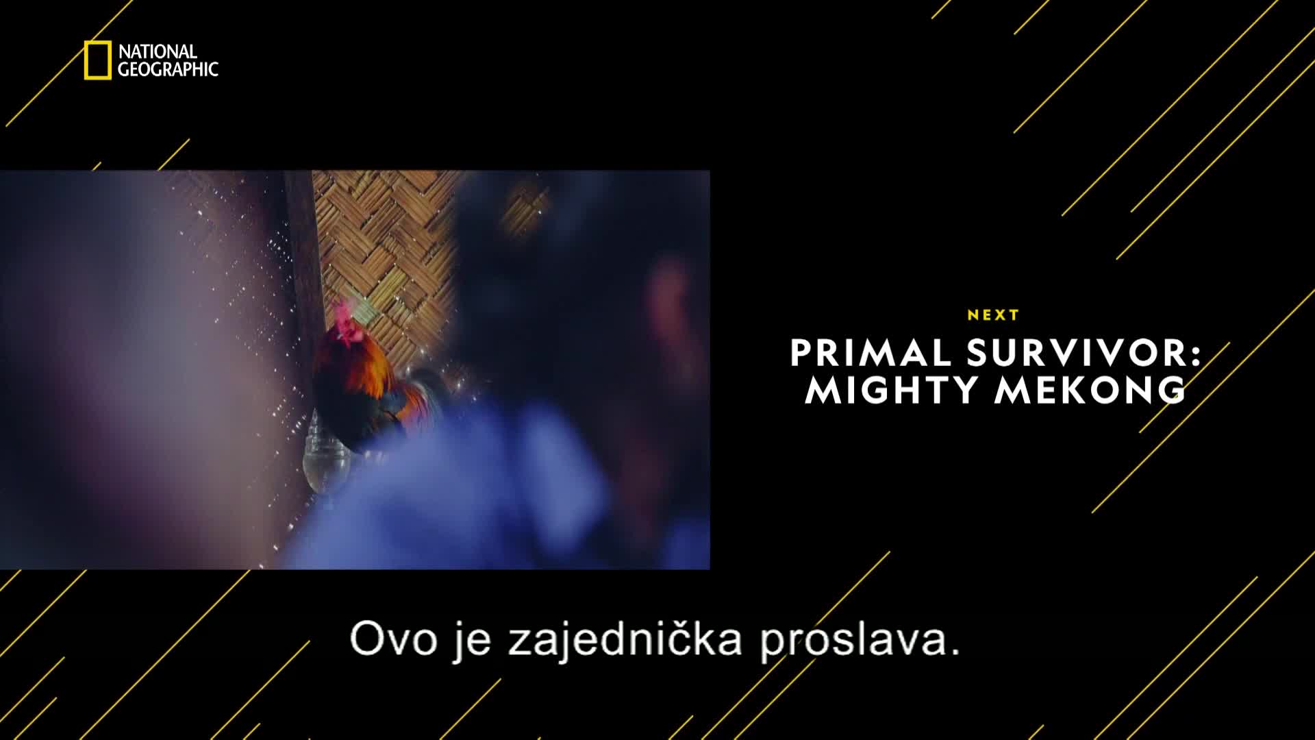 Premium10