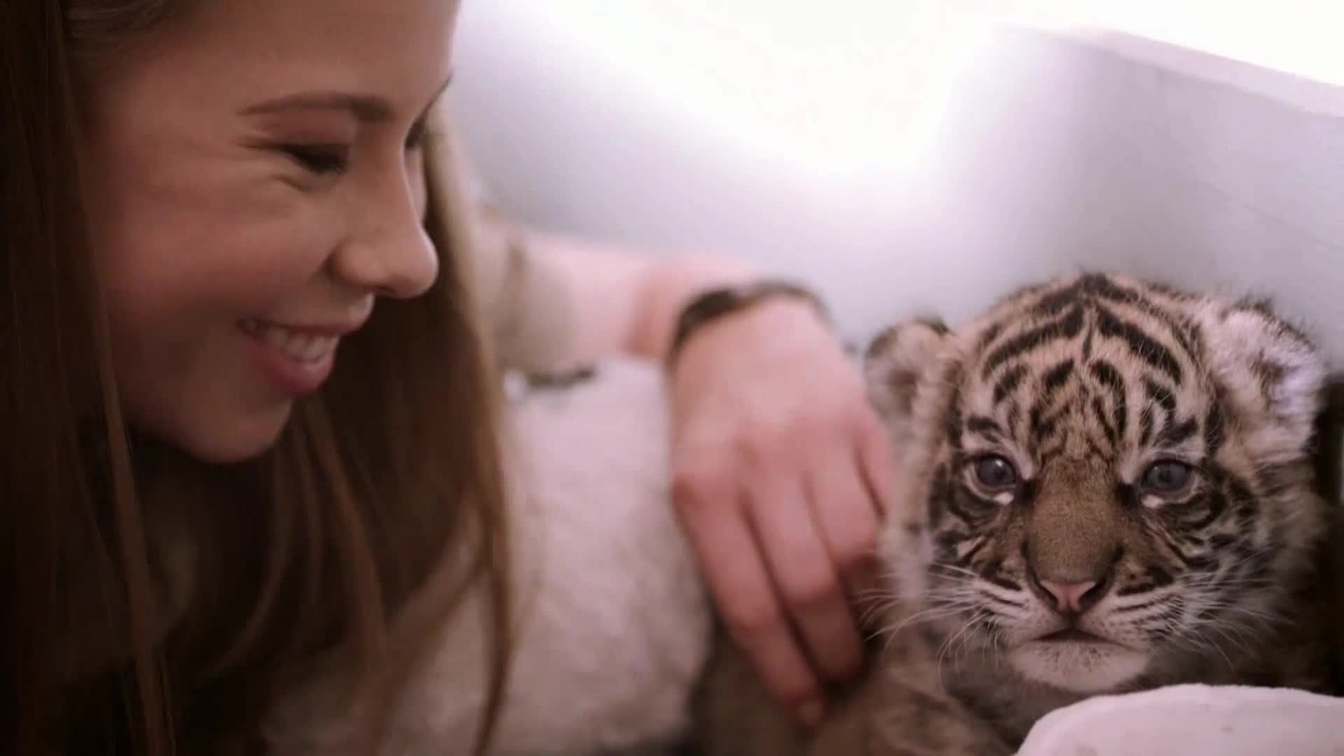 AnimalPlanet
