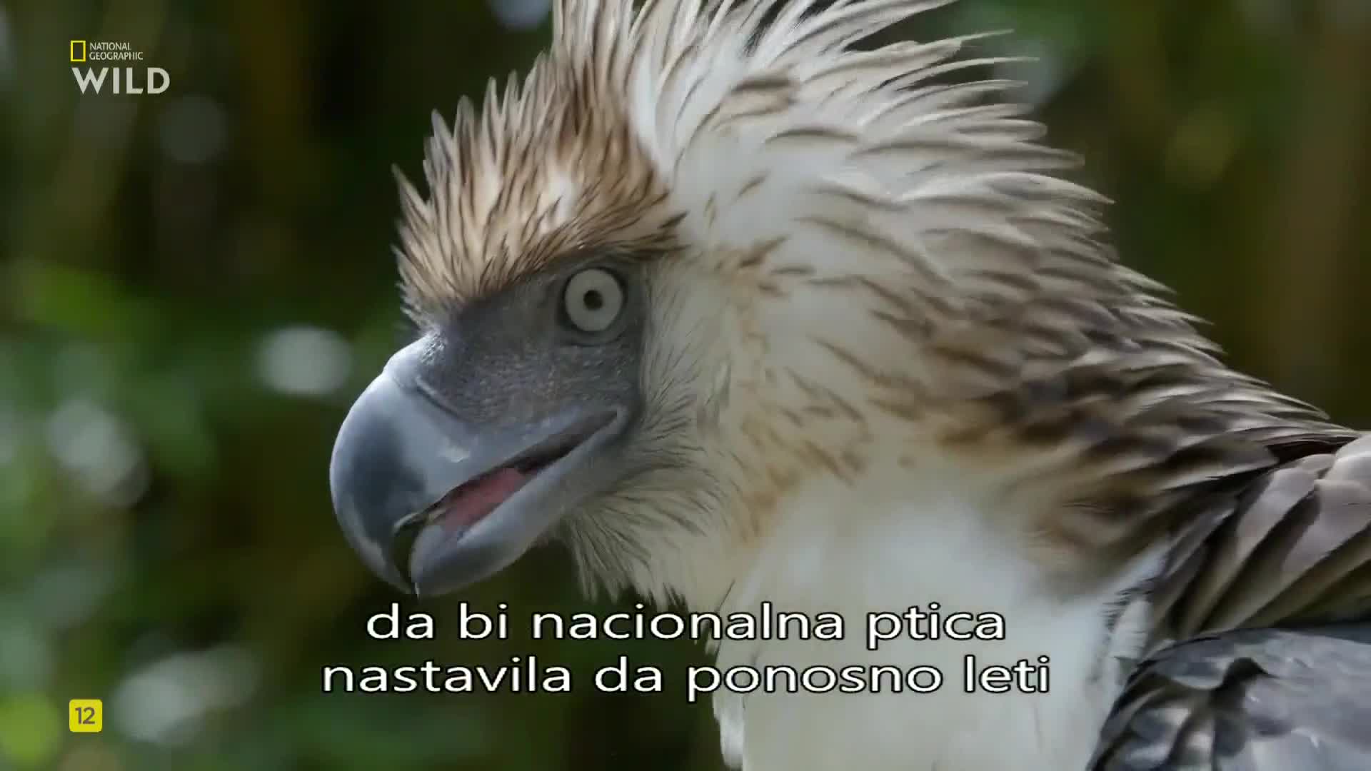 Premium9