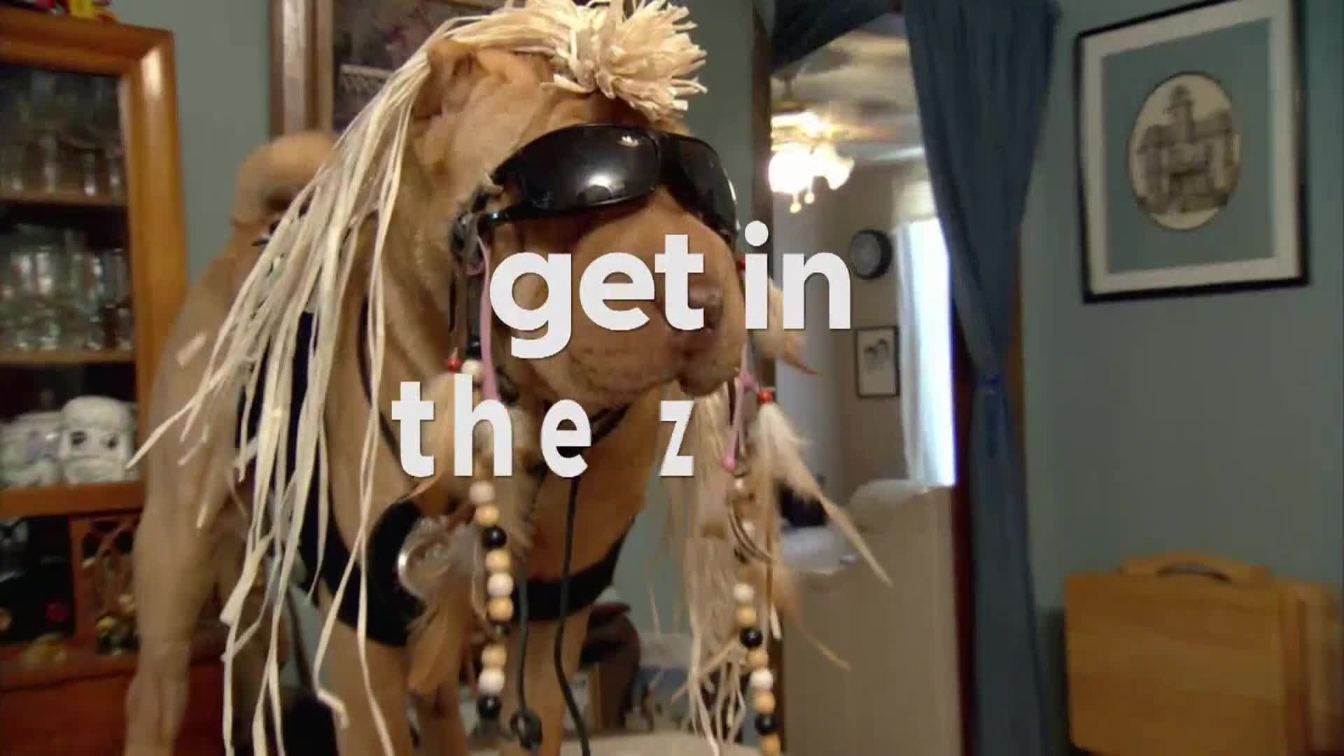 AnimalPlanet
