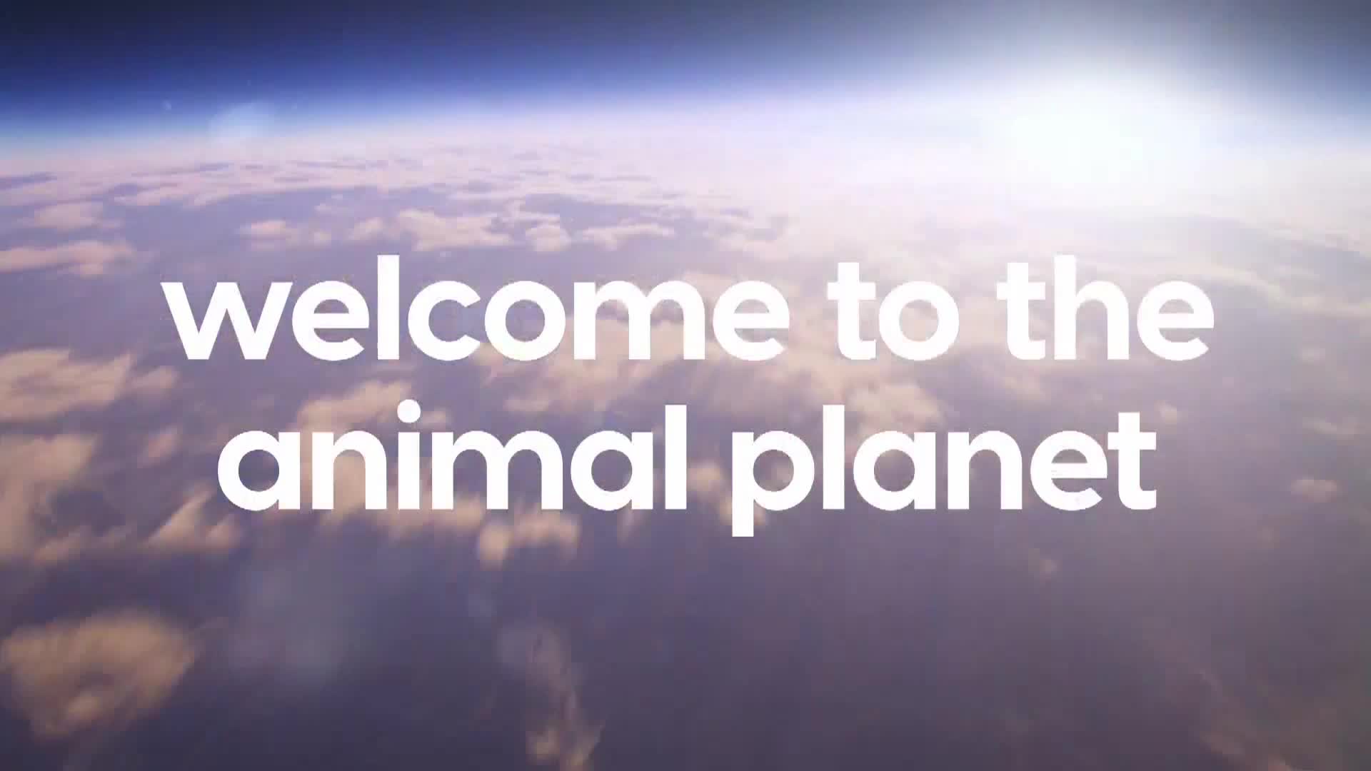 AnimalPlanet
