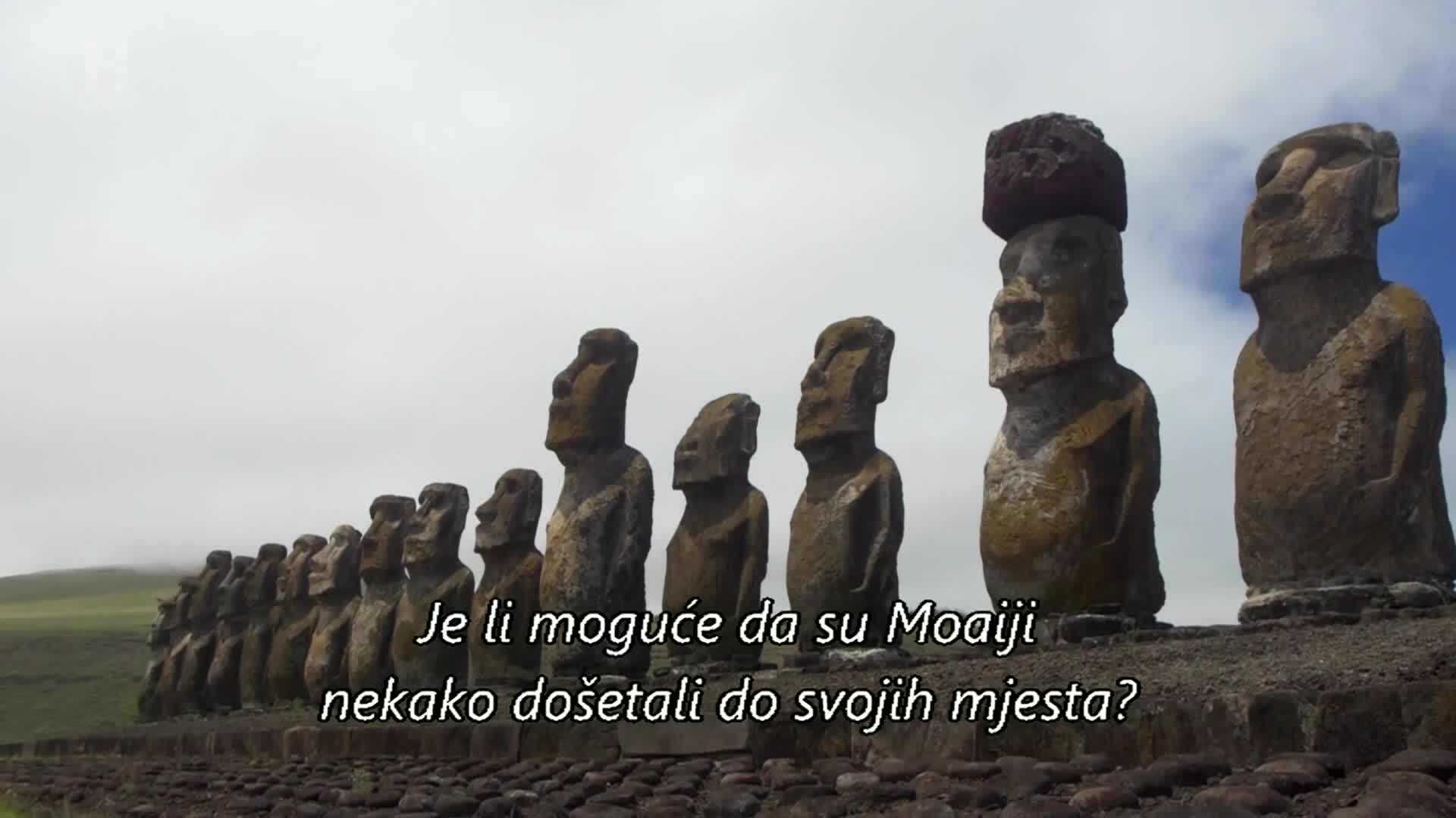 History