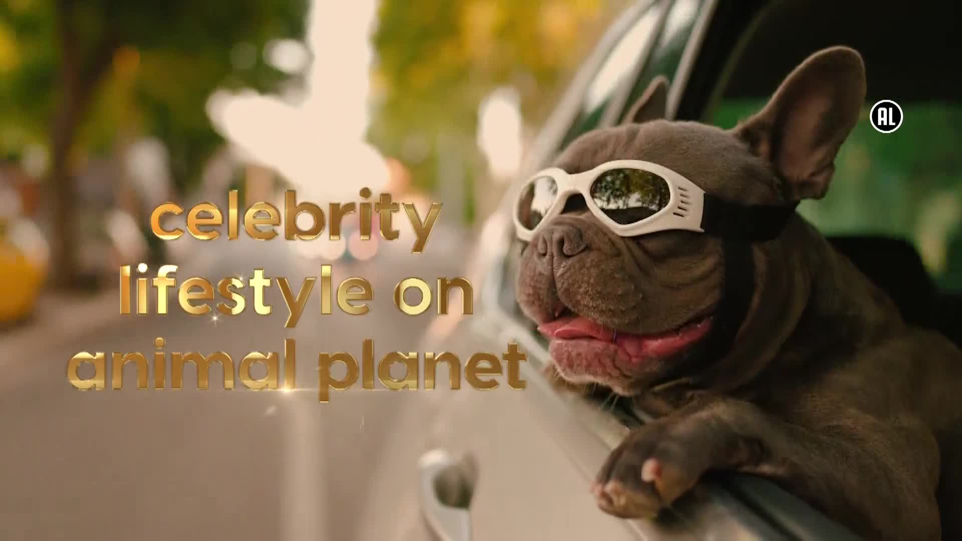AnimalPlanet