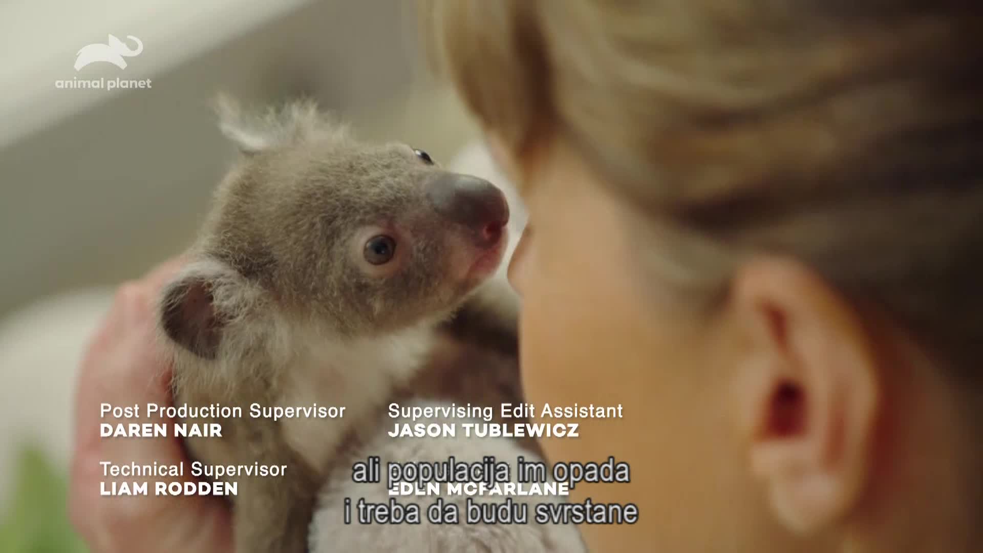 AnimalPlanet