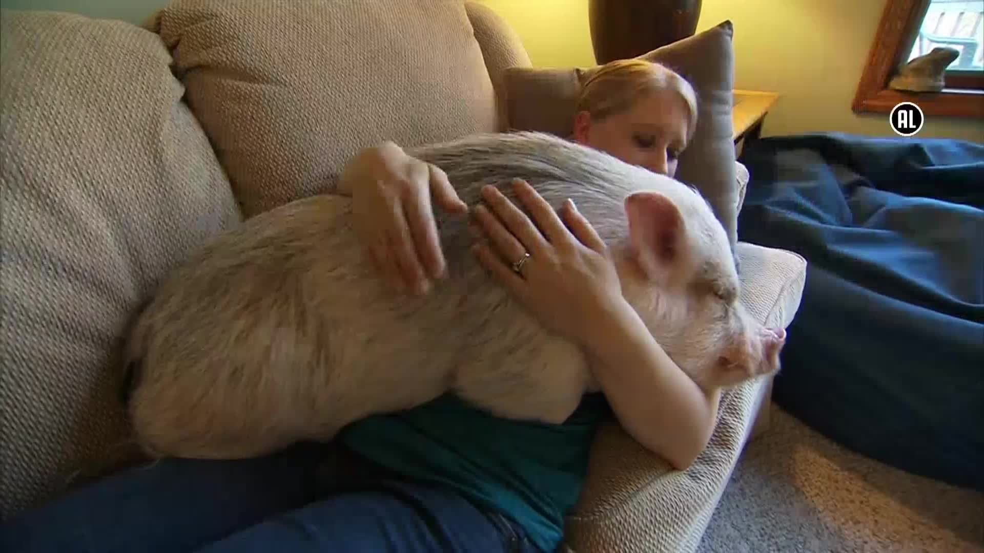 AnimalPlanet