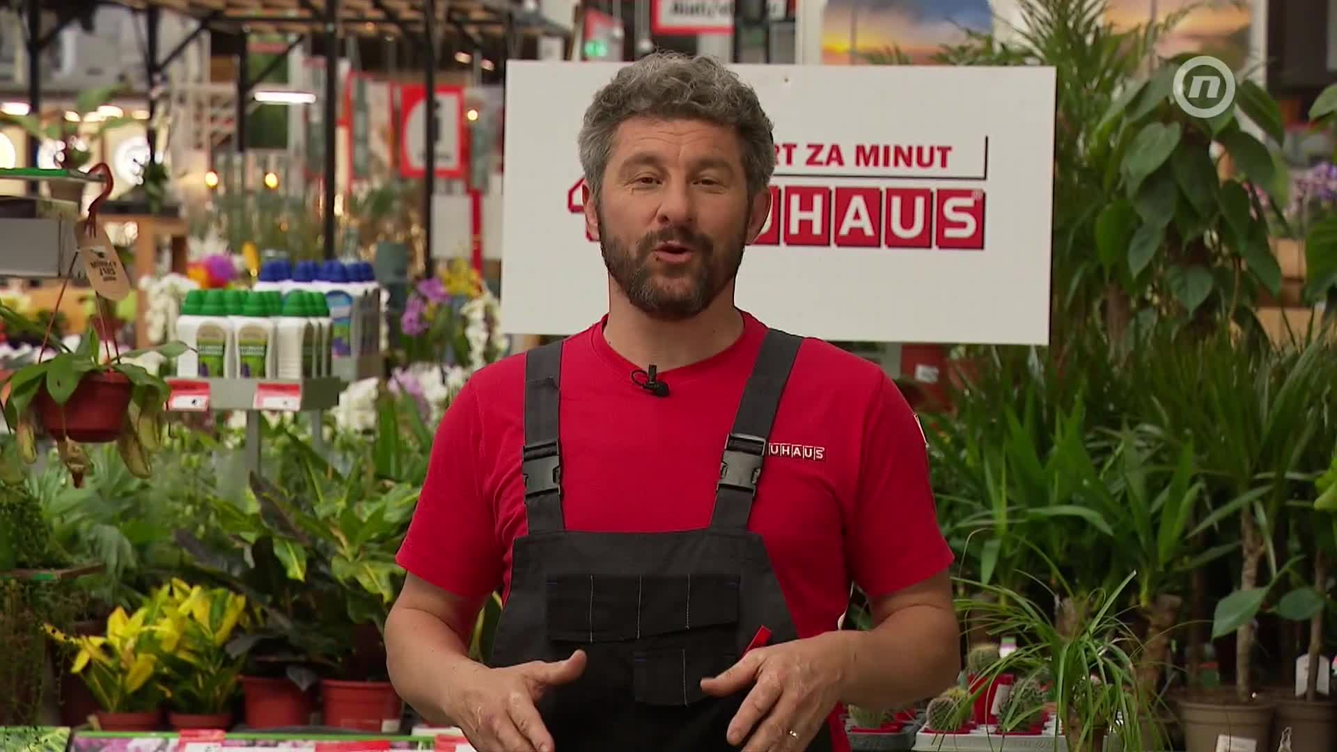 NovaTVPlus